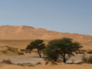 sejours-de-jeune-desert-dunes